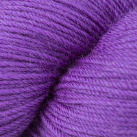 Purple Hyacinth (5625)