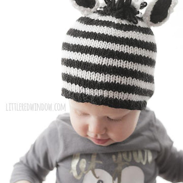 Zebra Hat
