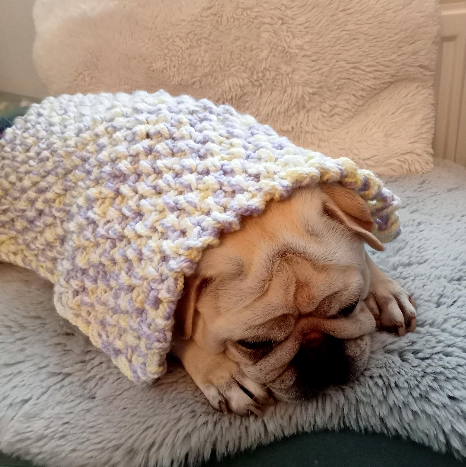 Blanket for Duggie