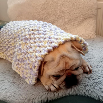 Blanket for Duggie