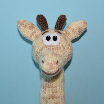 Jason The Giraffe