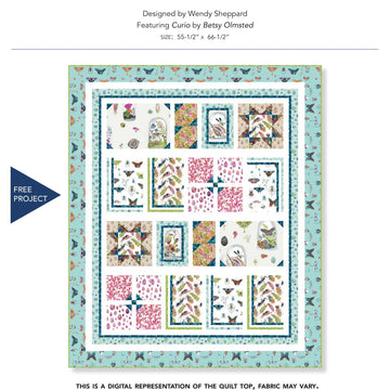 Windham Fabrics Curiosities - Downloadable PDF
