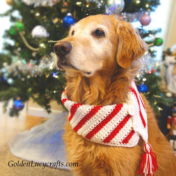 Christmas Dog Scarf, Candy Cane Scarf