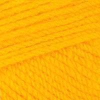 Sunflower (978)