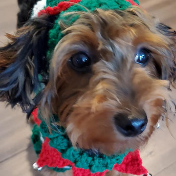 Elf Dog Sweater
