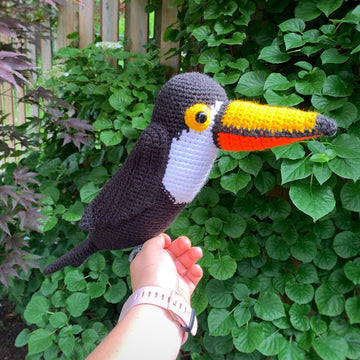 Terri the Toucan