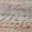 Fossil (640-536A)