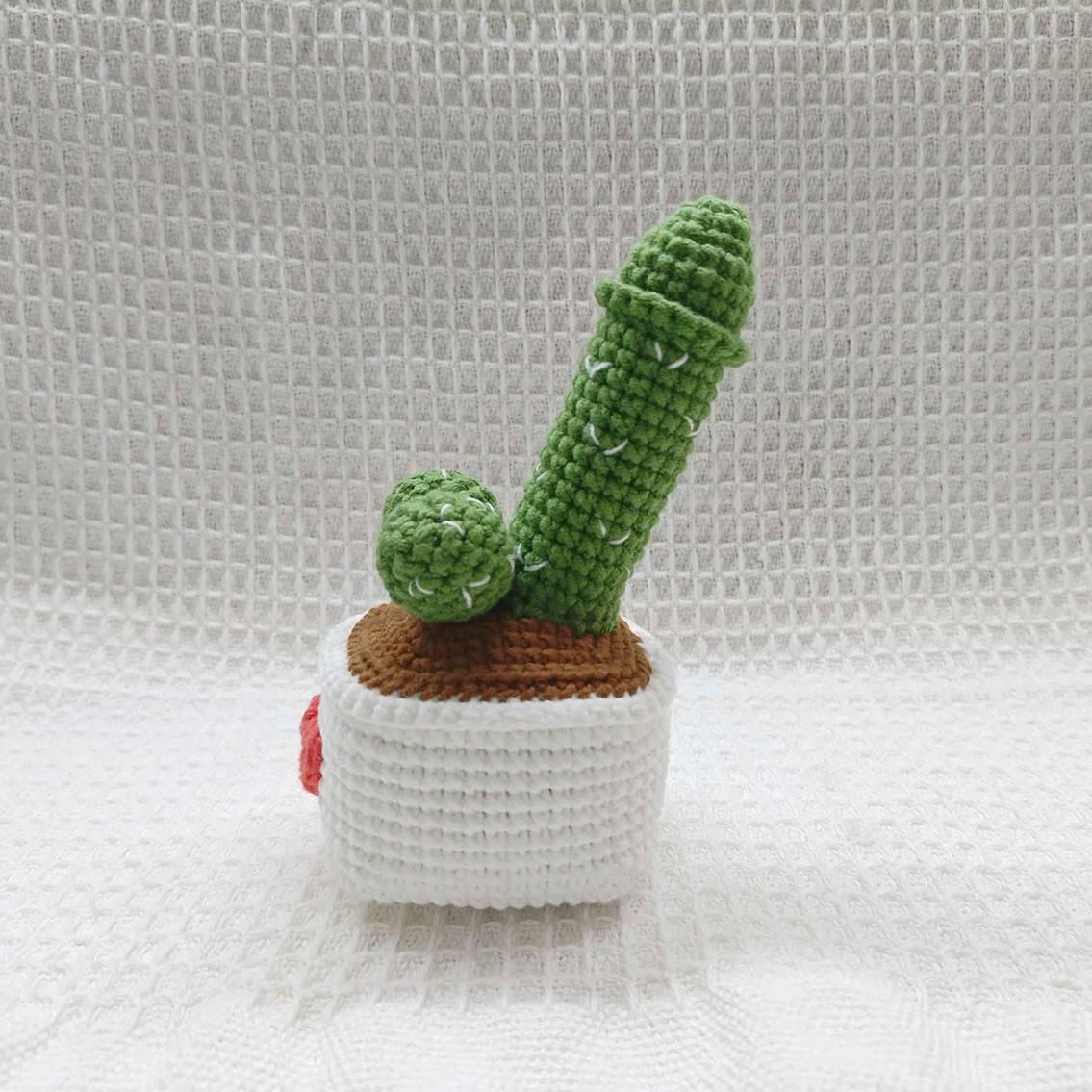 Surprise Cactus crochet pattern, Funny crochet pattern,Easy Crochet Patterns for Beginners