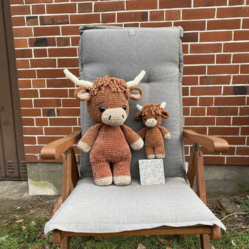 Jumbo and Small Highland Cow