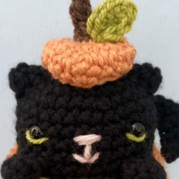 Crochet Cat in a Pumpkin