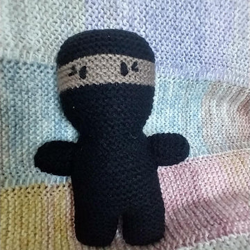 Nigel Ninja