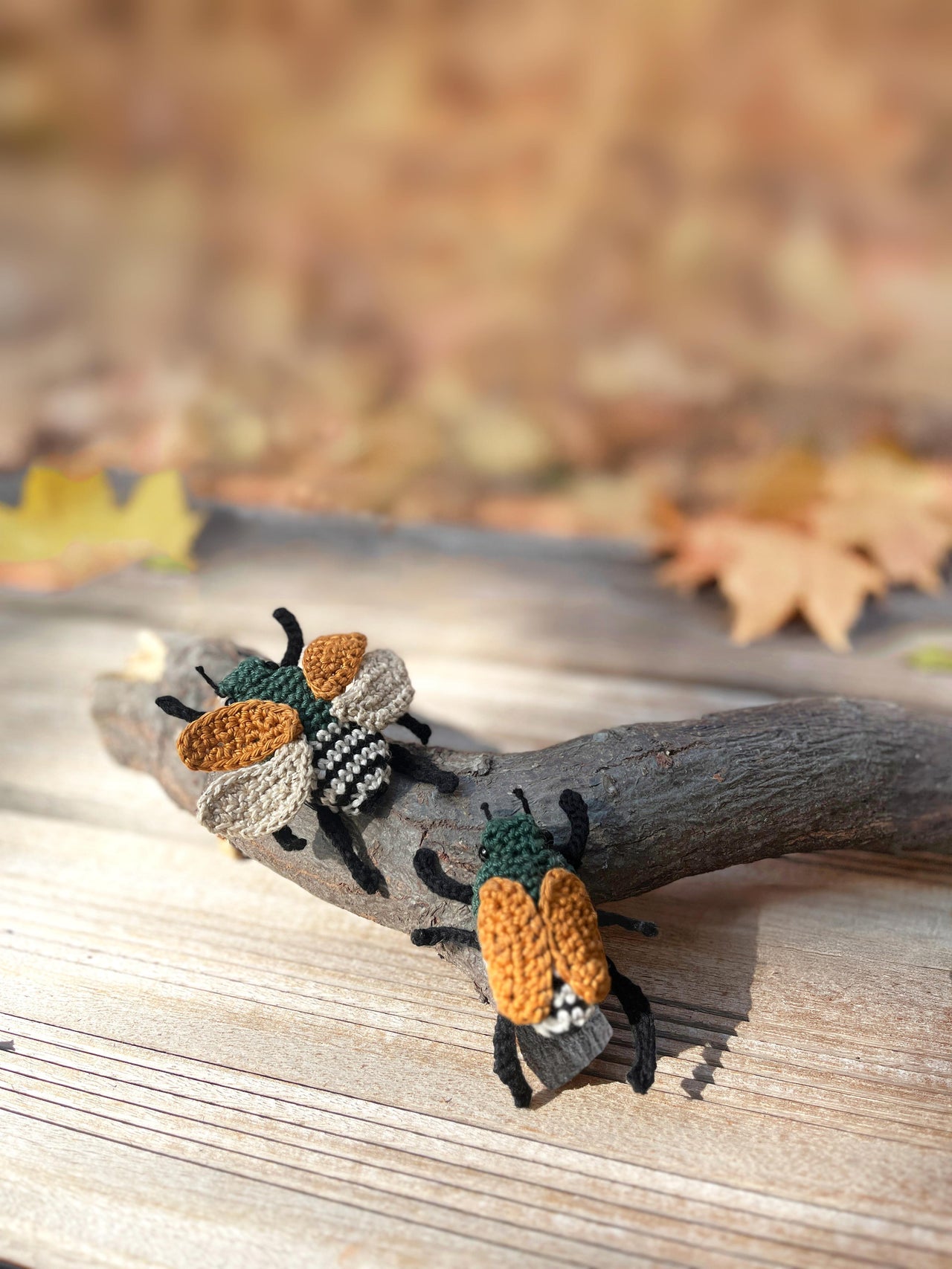 Japanese Beetle