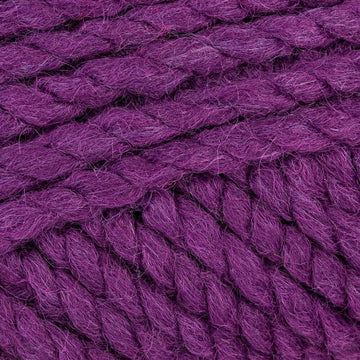Purple Pansy (19)