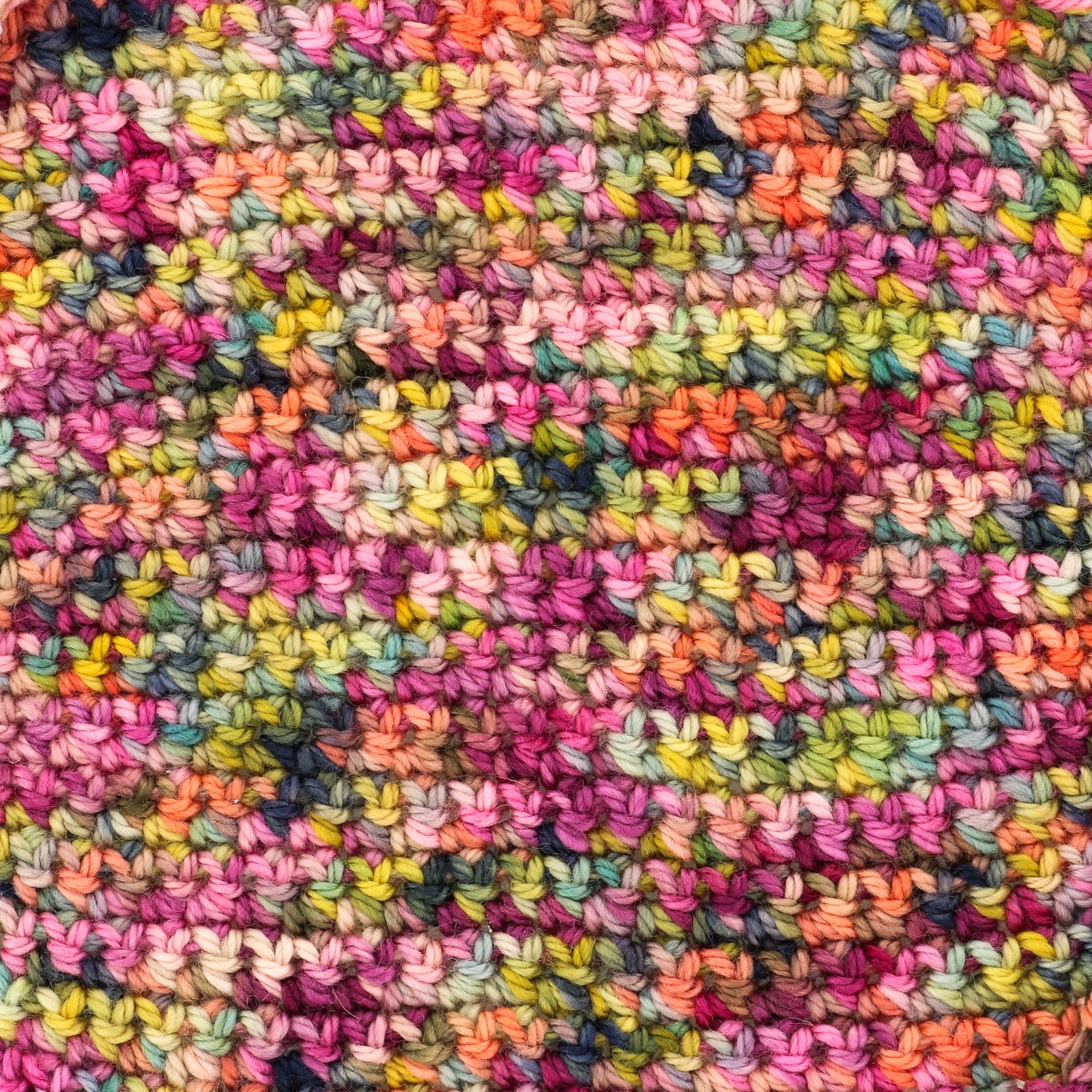 Koigu Jasmine