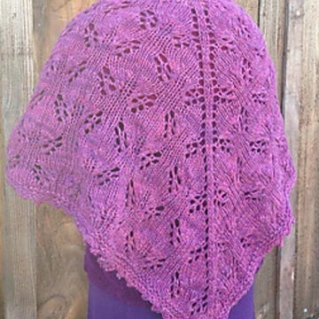 Intriguing Shawl
