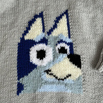 Bluey toddler jumper