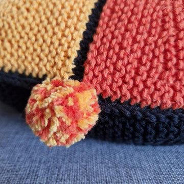 Colourwheel Cushion