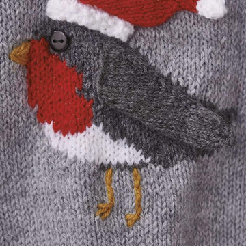 Rockin Robin Baby Sweater