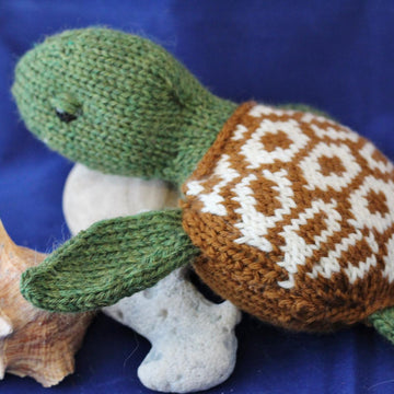 Sea Turtle