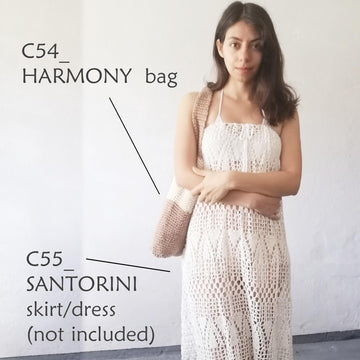 HARMONY bag _ C54