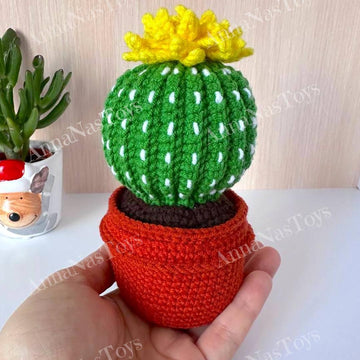 Cactus in a pot_5