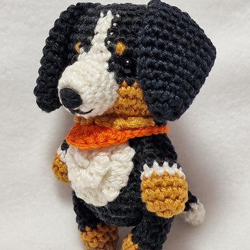 Bernese Mountain Dog