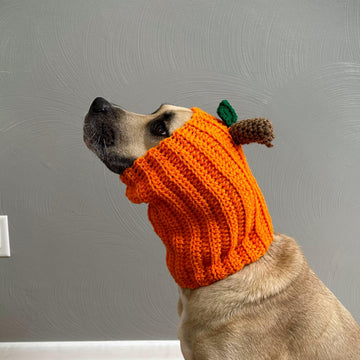 Pumpkin Dog Snood