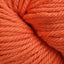 Pumpkin (822)