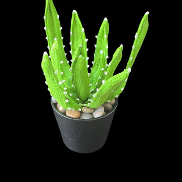 Crochet Aloe Vera plant