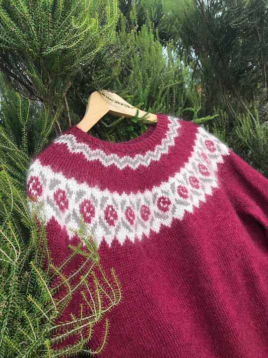Pull Hellébore