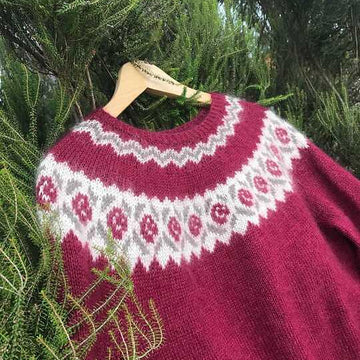 Pull Hellébore