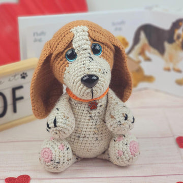 Missy the Basset hound