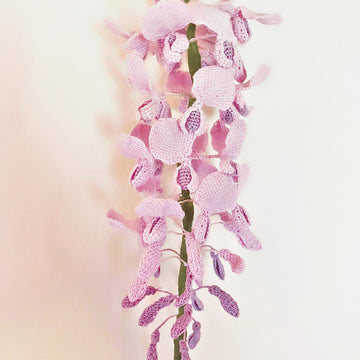 Wisteria