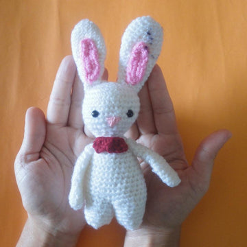 Rabbit Marco