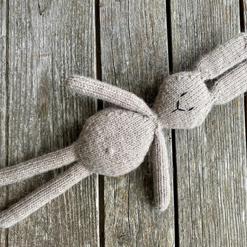 Vera / Victor the Bunny