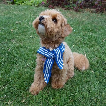Dog Sailor Scarf