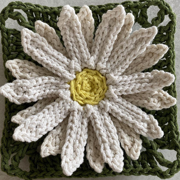 Double Petal Daisy Flower Granny Square