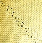 Czarina Blanket