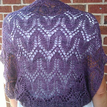 Lace Draped Shrug