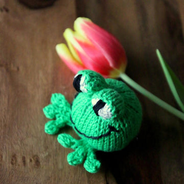 Babs the Frog