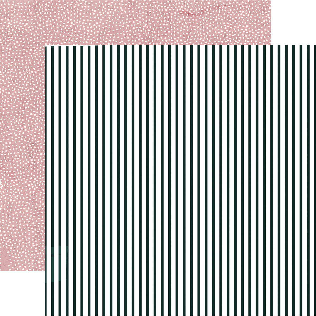 Kaisercraft Lily & Moss Double-Sided Cardstock 12"X12" 10/Pkg - Chalky