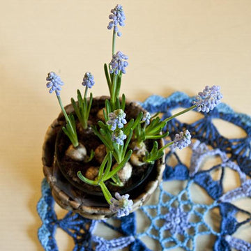 Donna's Mandala