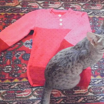 MARIA, a lovely kid jersey in cotton