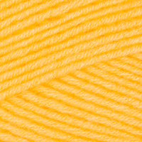 Sunflower (266)