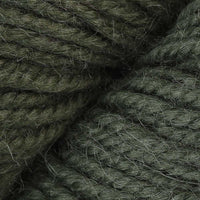 Irish Moss (62119)