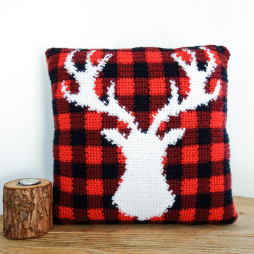 027-Rustic chalet pillow cover