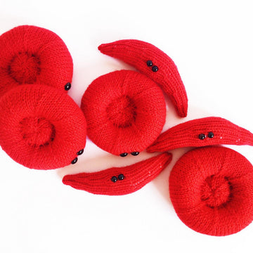 Sickle Red Blood Cell