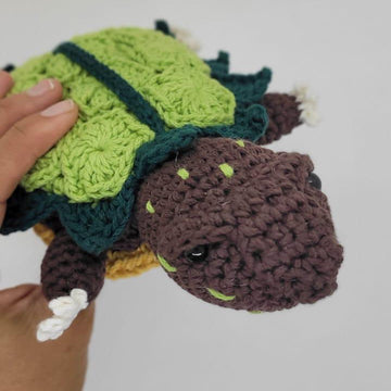 Geo the black-breasted leaf turtle