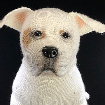 American Bulldog