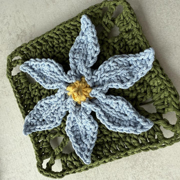 Stiff Blue-eyed Grass Flower Granny Square